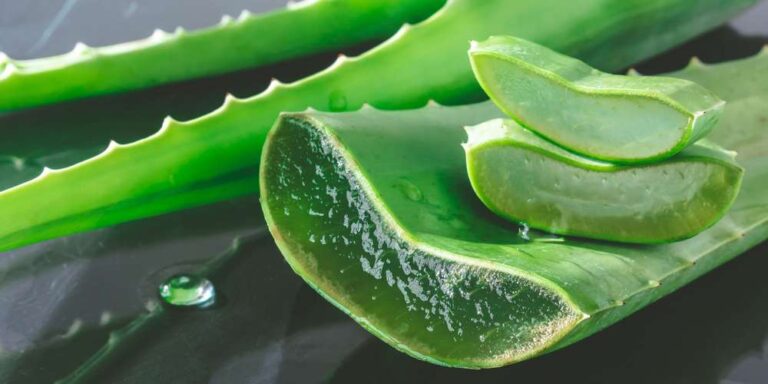 Gel d’aloe vera, comment l’utiliser en beauté ?