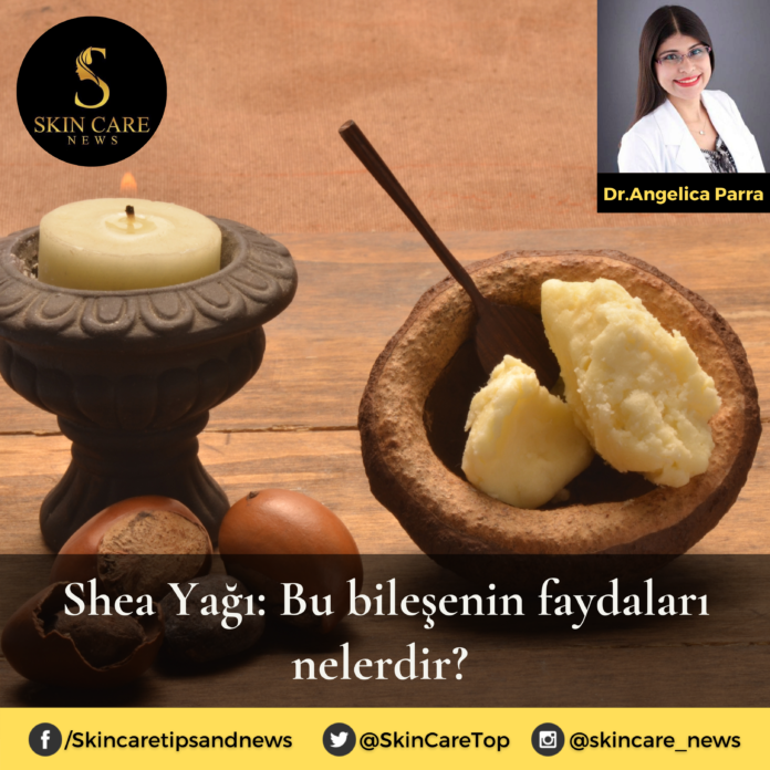 Skincare News Kopyası (7) she yağı