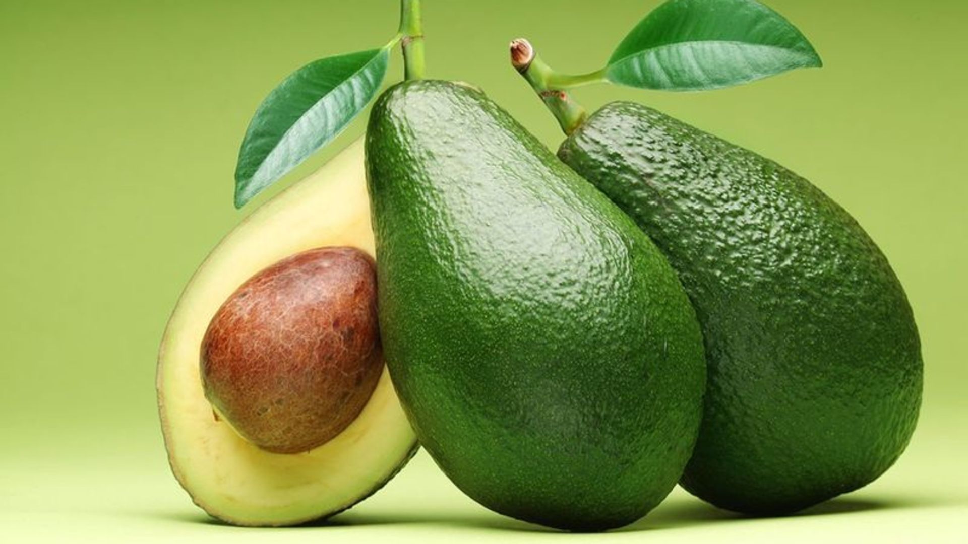 Avokado
