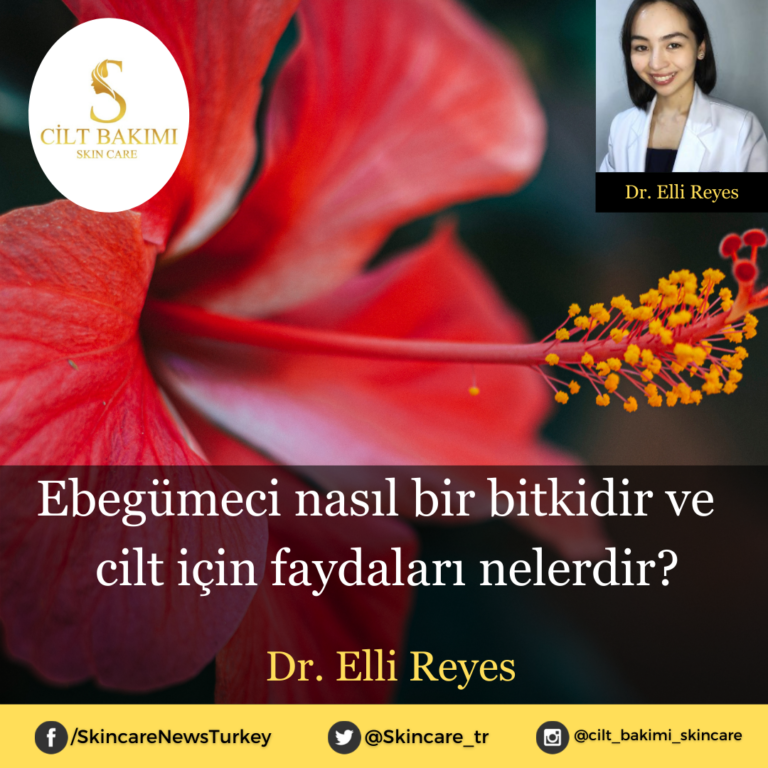 Ebegümeci nasıl bir bitkidir ve  cilt için faydaları nelerdir?