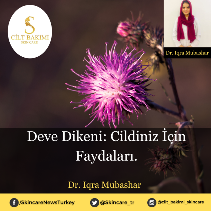 Skincare News v2 - Haziran Kopyası (11) Deve Dikeni