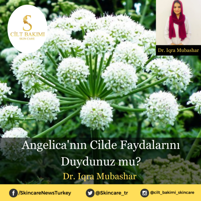 Skincare News v2 - Haziran Kopyası (2) angelica