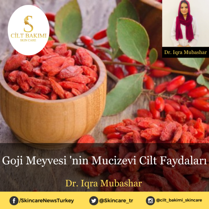 Skincare News v2 - Haziran Kopyası Kopyası (1) goji meyvesi
