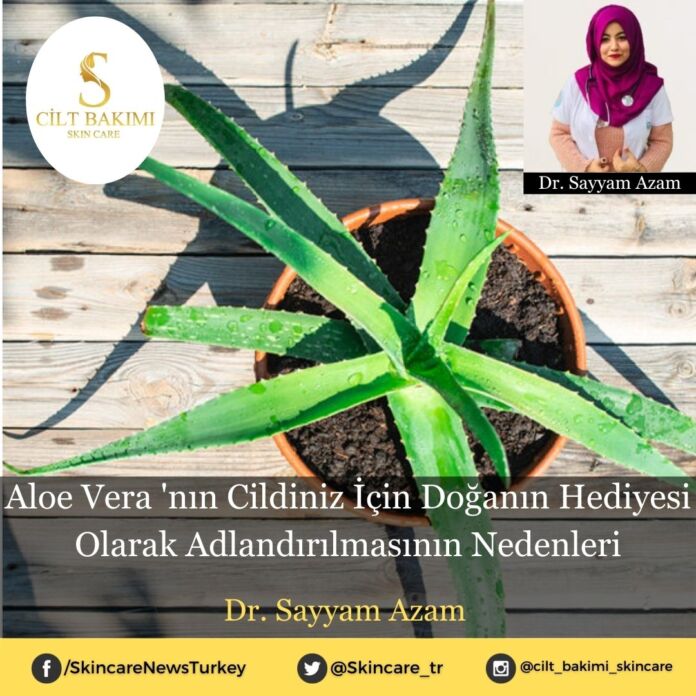 Skincare News v2 - Haziran Kopyası Aloe Vera 'nın Cildiniz İçin Doğanın Hediyesi Olarak Adlandırılmasının Nedenleri